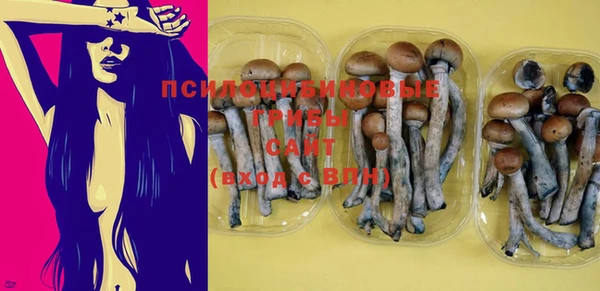 a pvp Арсеньев